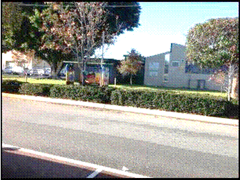 A road with bushes and trees

AI-generated content may be incorrect.